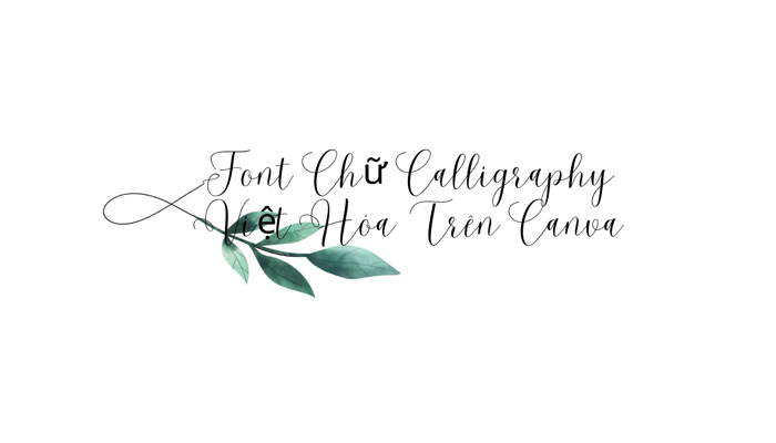 Tải 5+ Font Chữ Calligraphy Việt Hóa Trên Canva| Miễn Phí Và Đầy Đủ Nhất 2023