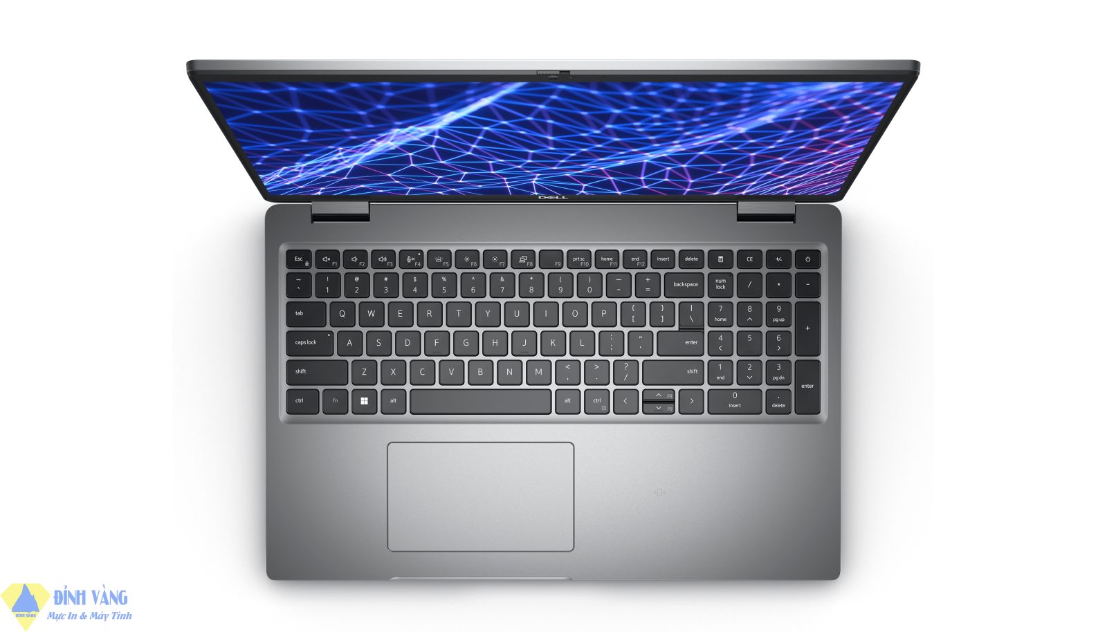 Hệ điều hành Windows 11 hiện đại.