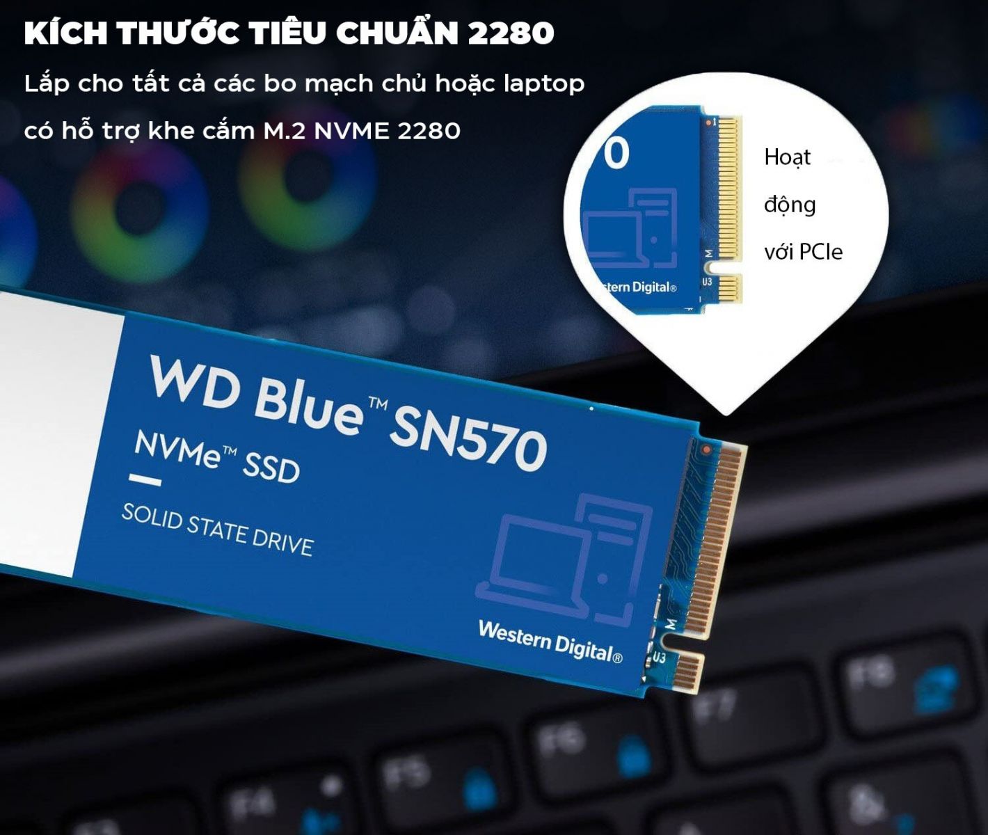  cứng SSD WD SN570 Blue 500GB M.2 2280 PCIe