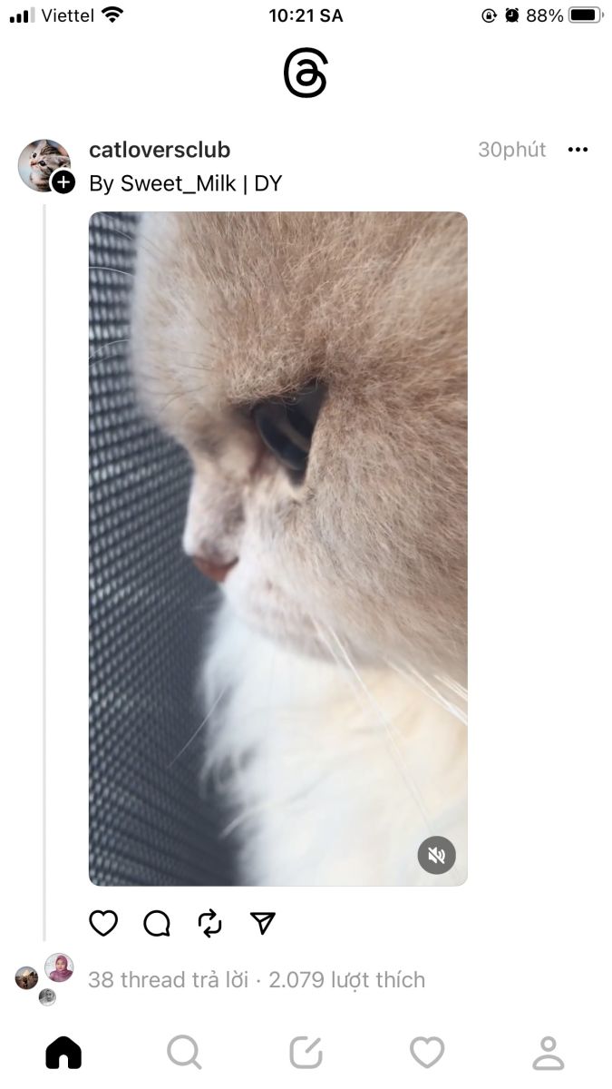 Cách đăng ký và sử dụng mạng xã hội Threads Instagram